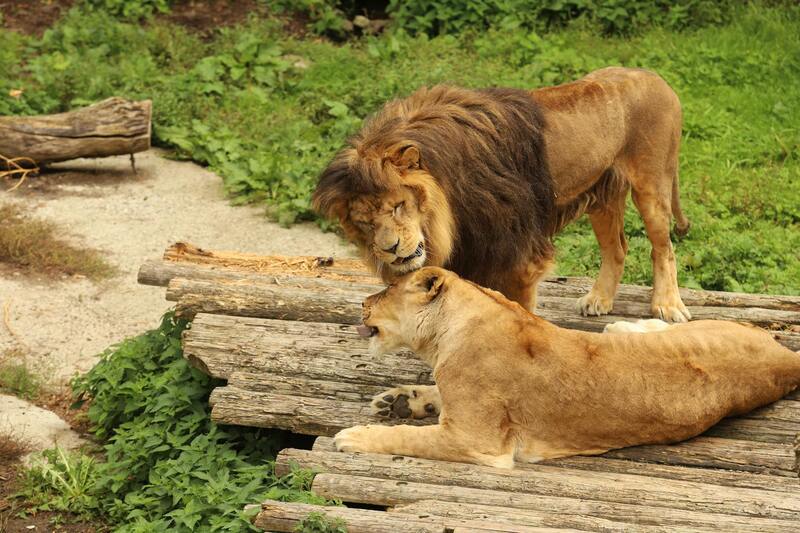 Gacor108 Deposit Murah Terbaik 2026